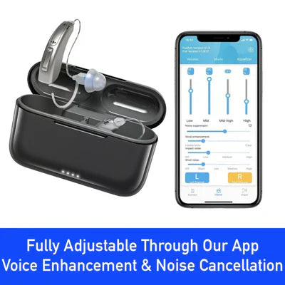 2026🔥 Eurisca™ Pro Hearing Aids| Clear Natural Sound