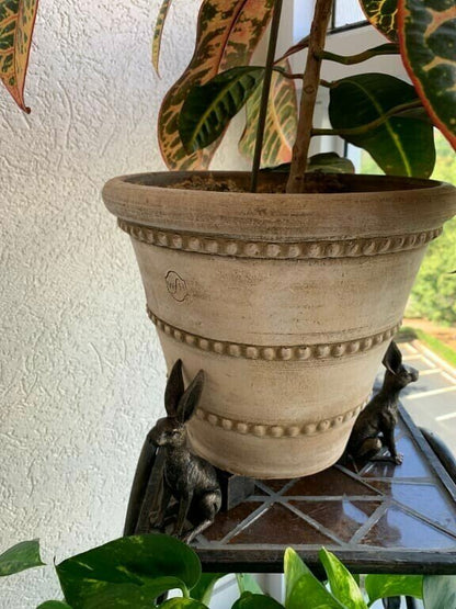 Plant Pot Feet