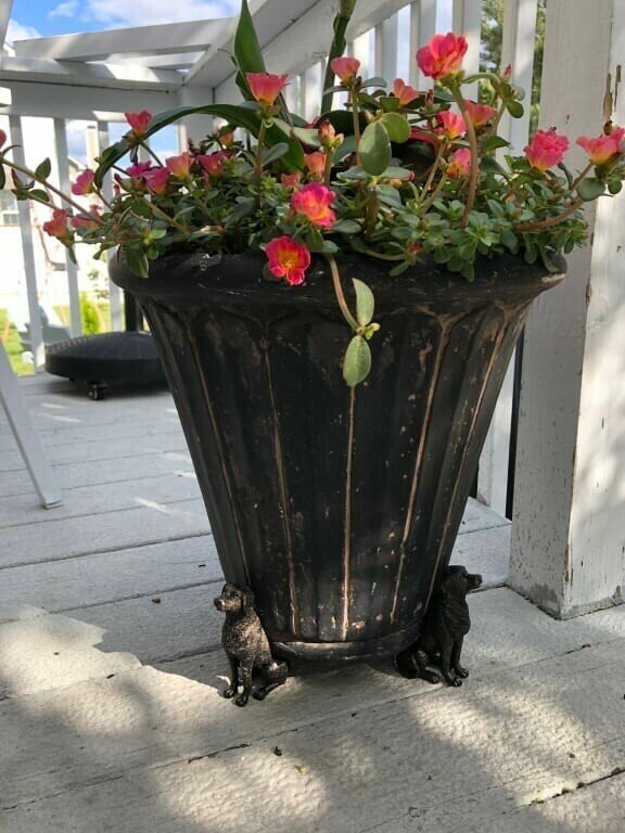 Plant Pot Feet
