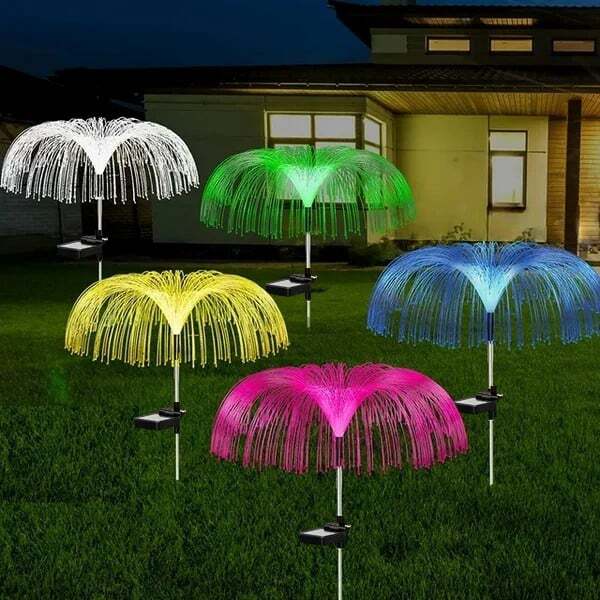 Enchanting Outdoor Ambience