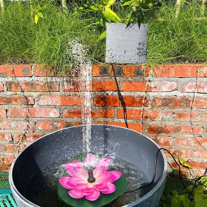 Harmonizing Lotus Stream
