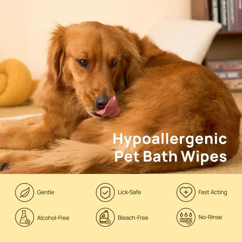 🔥2026 Hot Sale 49% OFF🐶🐱PET Glove Wipes